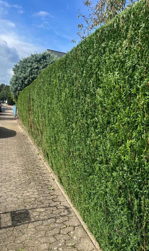 Kontaktieren Sie uns für Gartenarbeiten und Hausmeisterservices