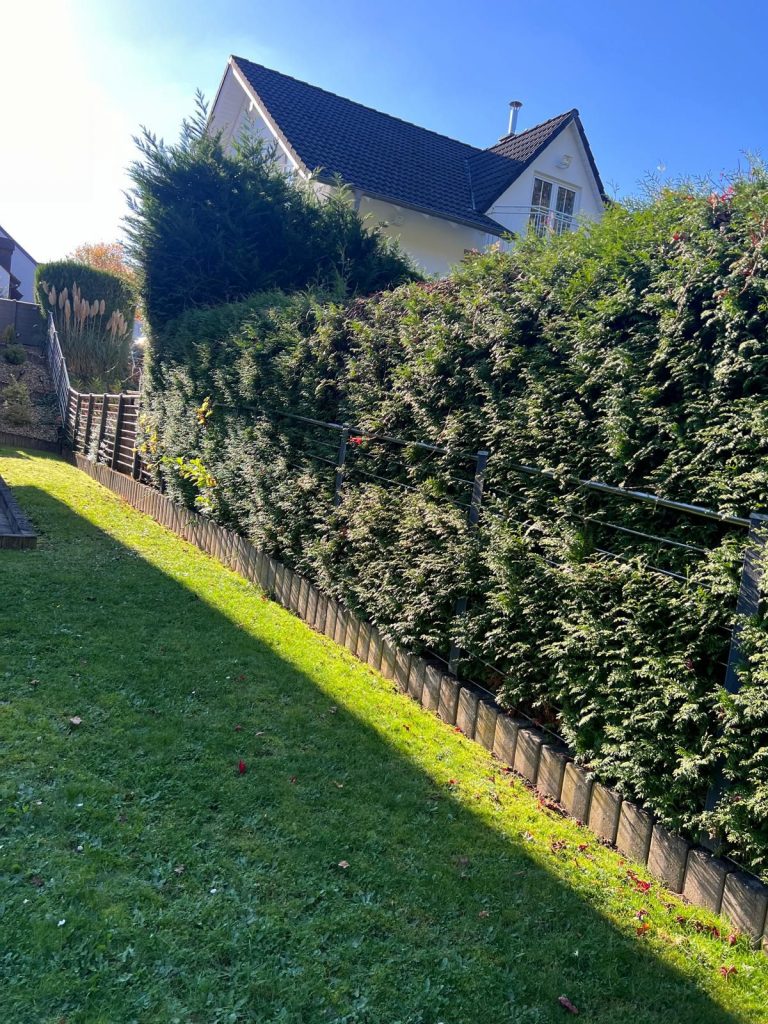 Unsere Leistungen bei Gartenarbeiten in Sankt Wendel