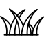 Rasenpflege und Rasenschnitt